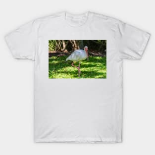 Hopping White Ibis 2 T-Shirt